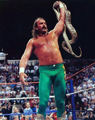 Jake Roberts