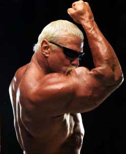 Scott Steiner